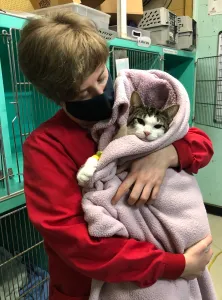 Rainier coat pet